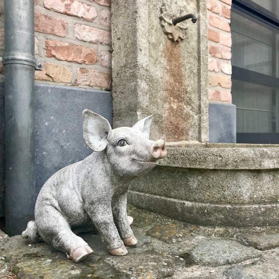 Villa Hof Leskensdaele Deluxe Geraardsbergen Esterno foto